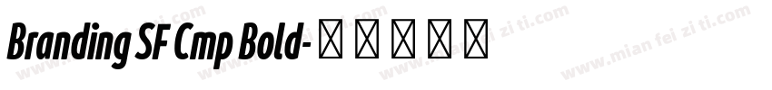 Branding SF Cmp Bold字体转换